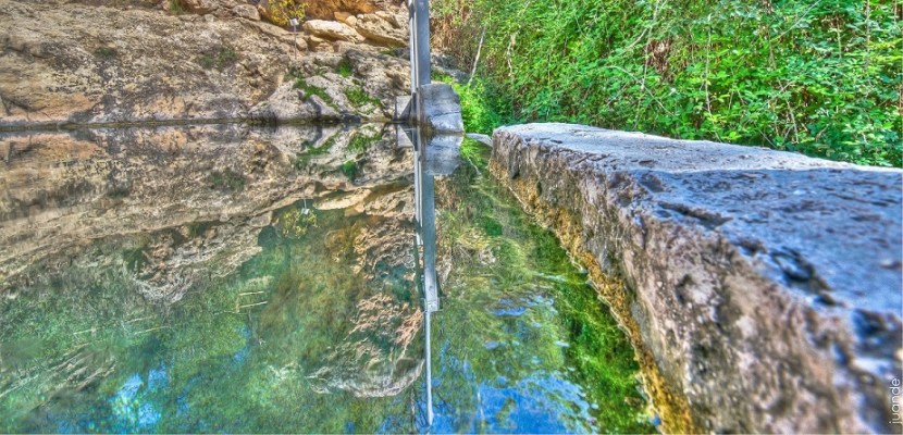 DSC_0546-2_-3__tonemapped